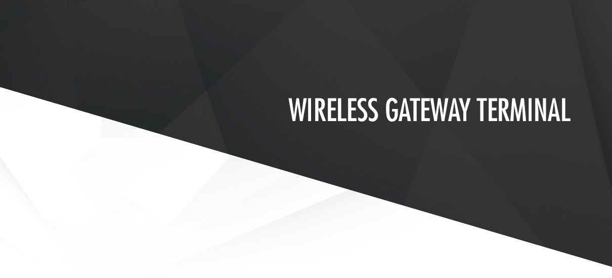 Terminal Wireless Gateway